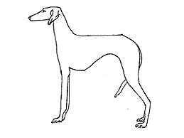 Dog Images